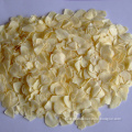/msite/products/detail/productid/57631185/id/677584.html